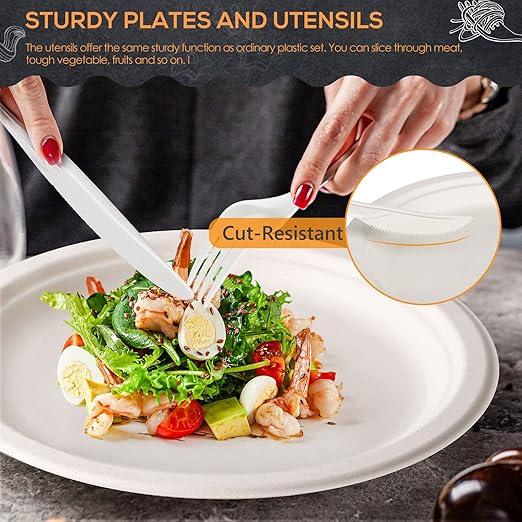 250 PCS Compostable Dinnerware Set – 100% Sugarcane Fiber Plates & Cornstarch Cutlery