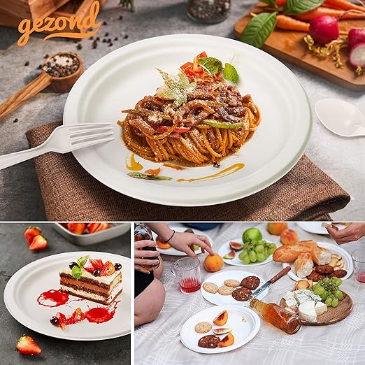 250 PCS Compostable Dinnerware Set – 100% Sugarcane Fiber Plates & Cornstarch Cutlery