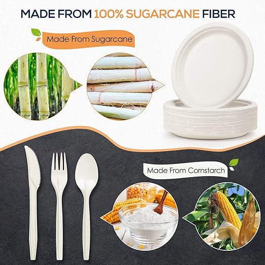 250 PCS Compostable Dinnerware Set – 100% Sugarcane Fiber Plates & Cornstarch Cutlery